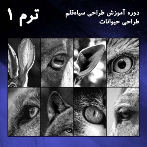 ترم 01 آموزش اجزای بدن حیوانات بخش اول