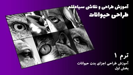 ترم 01 آموزش اجزای بدن حیوانات بخش اول