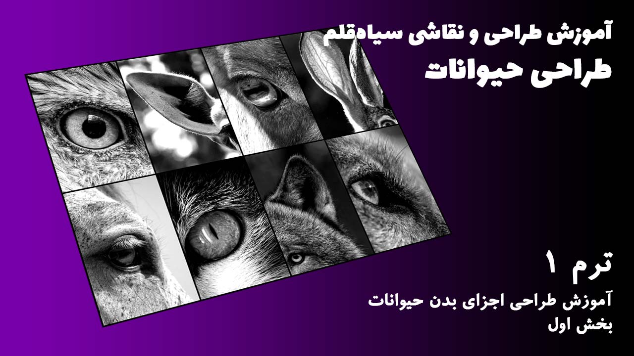 ترم 01 آموزش اجزای بدن حیوانات بخش اول