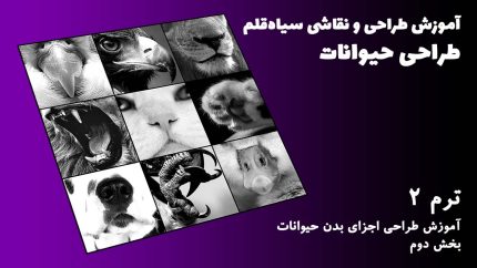 ترم 02 آموزش اجزای بدن حیوانات بخش دوم