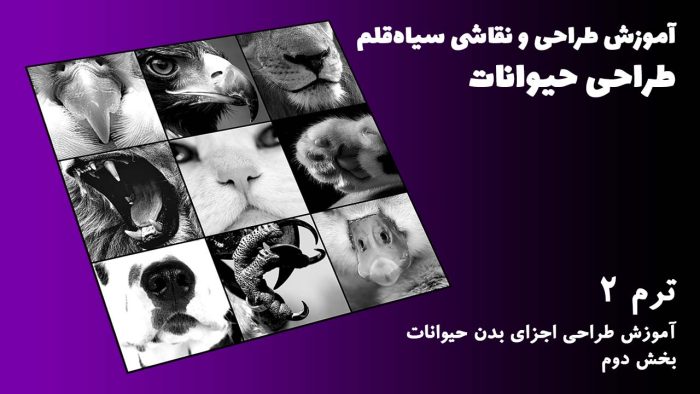 ترم 02 آموزش اجزای بدن حیوانات بخش دوم