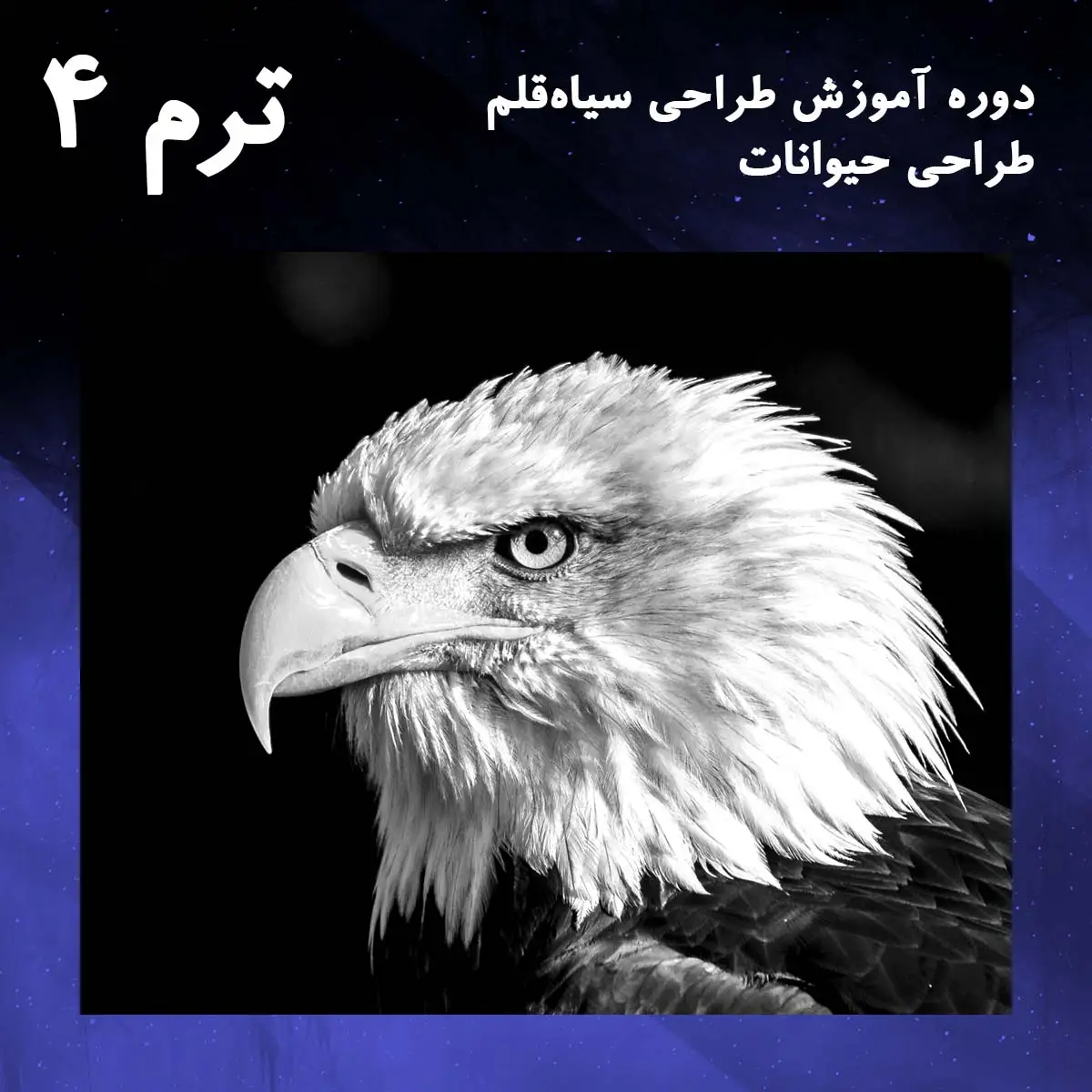 Animal-Term-04 ترم 04 آموزش تابلوی عقاب